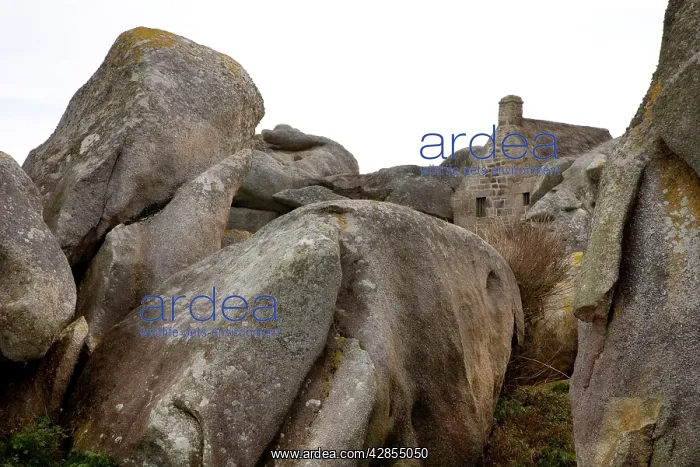 : Old Costums House, Meneham, Brittany, France : Old Costums House, Meneham, Brittany, France