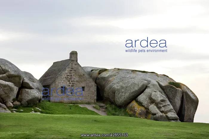  : Old Costums House, Meneham, Brittany, France