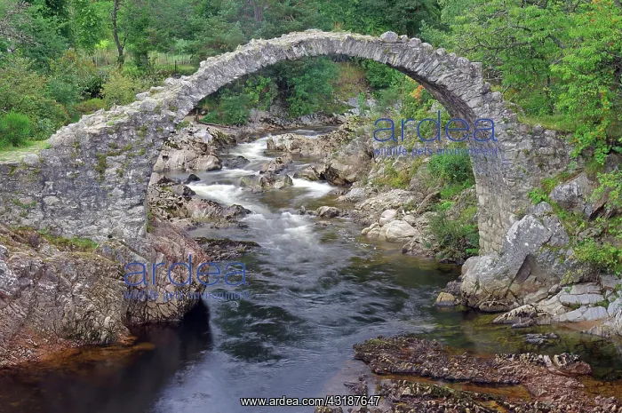 : Old curved stone bridge, Carrbridge, Strathspey : Old curved stone bridge, Carrbridge, Strathspey