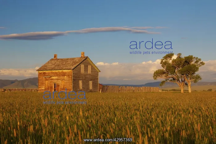 : Old Farm house on prairie : Old Farm house on prairie