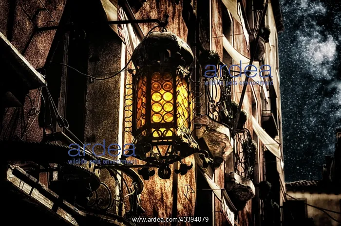 : Old-fashioned lantern on the wall of a house. My : Old-fashioned lantern on the wall of a house. My