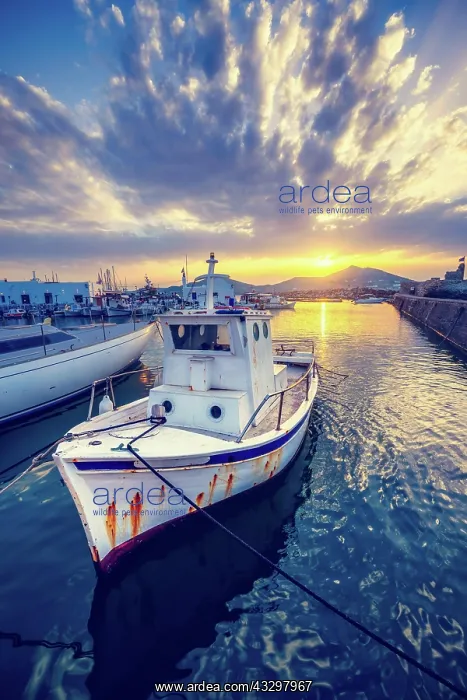 : Old fishing boat in port of Naousa on sunset. Paros : Old fishing boat in port of Naousa on sunset. Paros