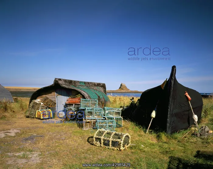 : Old Fishing Boats - now used as fishermen huts : Old Fishing Boats - now used as fishermen huts