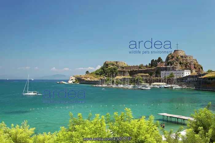 : Old fortress, Palai&, xf3; Fro&, xfa;rio, with harbor : Old fortress, Palai&, xf3; Fro&, xfa;rio, with harbor