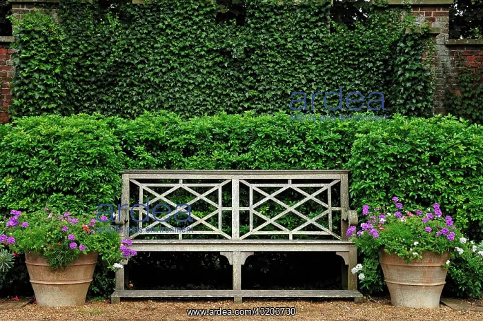 : Old garden bench with two flower buckets in the : Old garden bench with two flower buckets in the