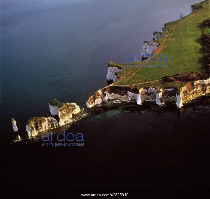 : Old Harry Rocks, chalk stacks located directly : Old Harry Rocks, chalk stacks located directly