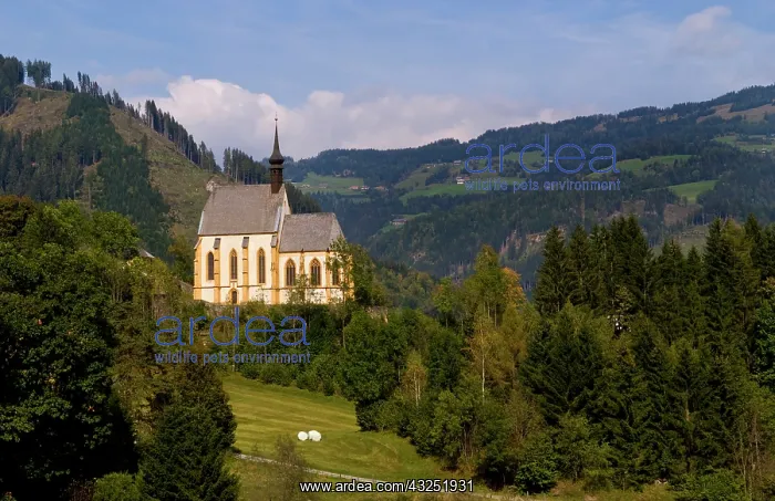 : Old historical old church called Parish : Old historical old church called Parish