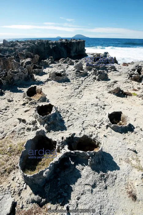 : Old impact marks of volcanic bombs : Old impact marks of volcanic bombs