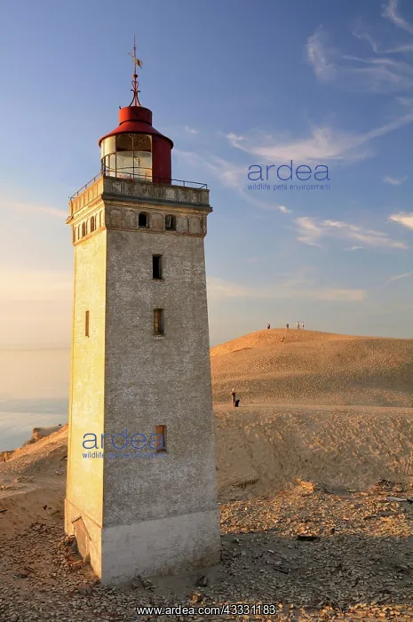 : Old lighthouse on Rubjerg Knude, a wandering dune : Old lighthouse on Rubjerg Knude, a wandering dune