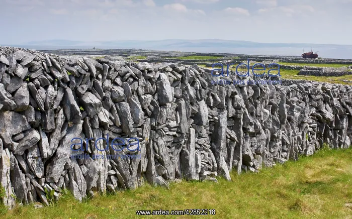 : Old limestone drystone wall on Inisheer with small : Old limestone drystone wall on Inisheer with small