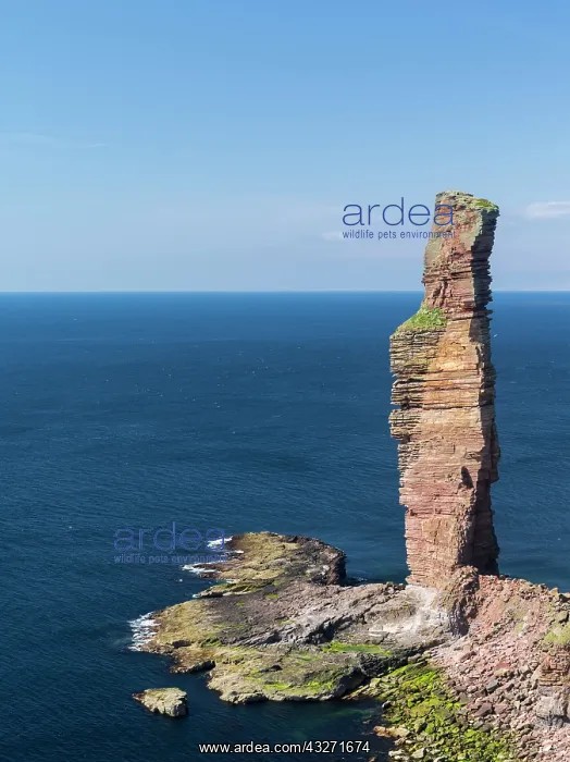  : Old Man of Hoy, one of the icons of the