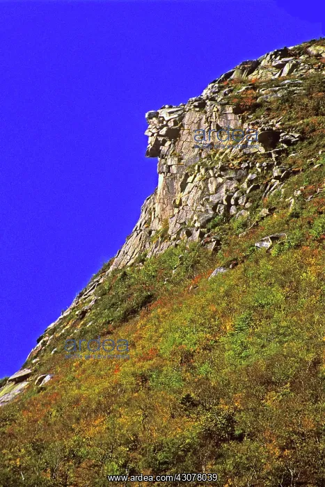 : The Old Man of the Mountain : The Old Man of the Mountain