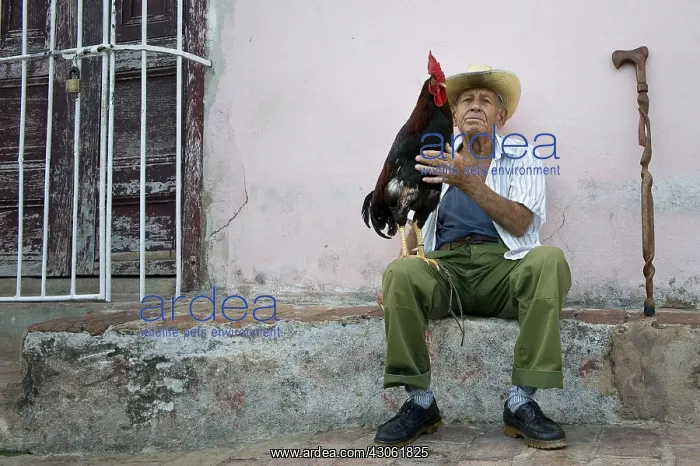 : An old man with his pet at Trinidad Cuba : An old man with his pet at Trinidad Cuba