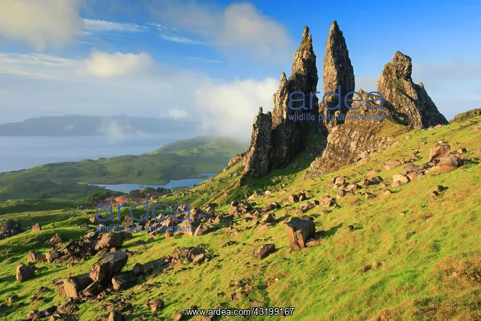 : Old Man of Storr, Isle of Skye, Scotland, United : Old Man of Storr, Isle of Skye, Scotland, United