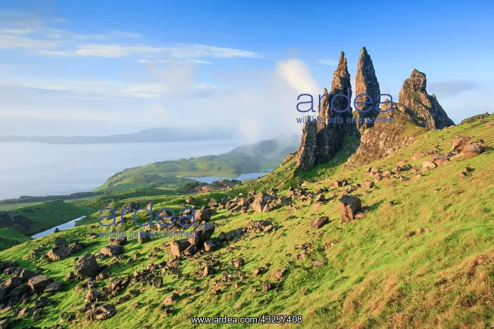 : Old Man of Storr, Isle of Skye, Scotland, United : Old Man of Storr, Isle of Skye, Scotland, United