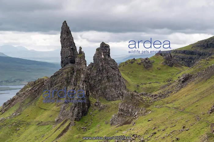 : Old Man of Storr Rock Needle, Trotternish Peninsula : Old Man of Storr Rock Needle, Trotternish Peninsula