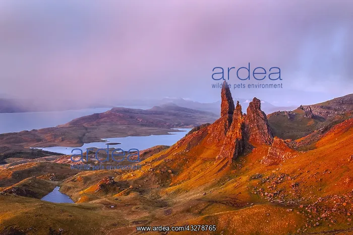 : Old Man of Storr - view towards famous rock formation : Old Man of Storr - view towards famous rock formation