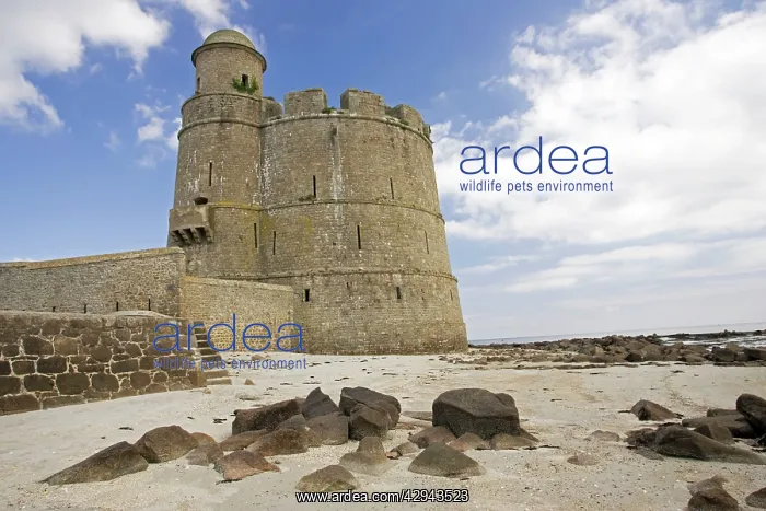 : Old medieval Fort Vauban fortified tower Ile de : Old medieval Fort Vauban fortified tower Ile de