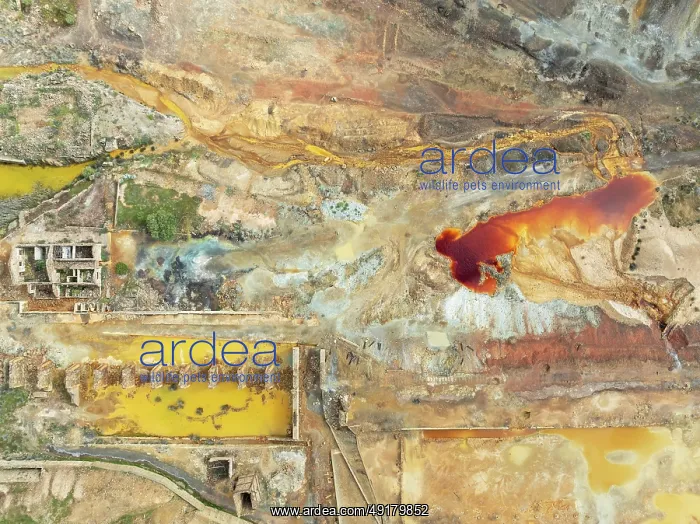 : Old mining site and deep orange-red hues in the water of a pool in the mineral-rich area of the Rio Tinto mines : Old mining site and deep orange-red hues in the water of a pool in the mineral-rich area of the Rio Tinto mines