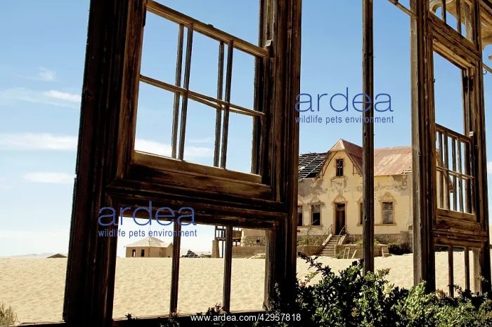 : Old Mining Town near Luderitz called Ghost Town : Old Mining Town near Luderitz called Ghost Town