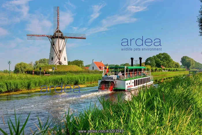 : Old paddle wheel steamer on the canal between Bruges : Old paddle wheel steamer on the canal between Bruges
