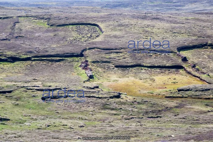  : Old Peat Workings at Eshaness