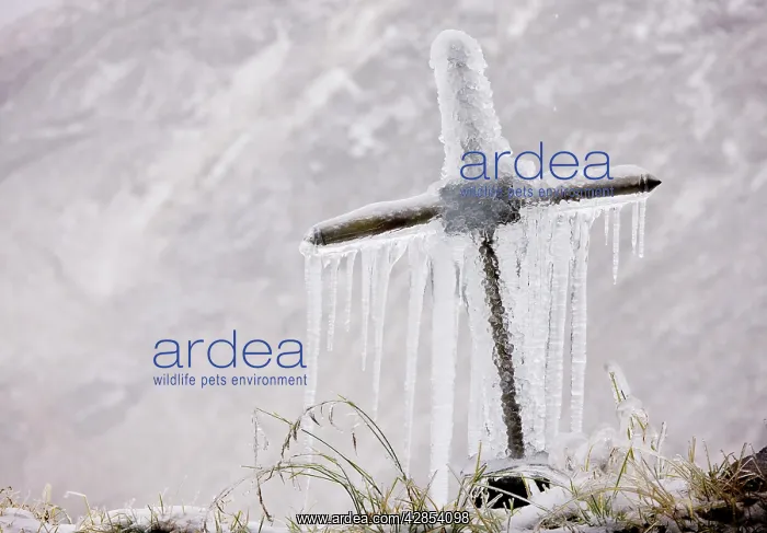 : Old roadside cross covered with frost and icicles : Old roadside cross covered with frost and icicles