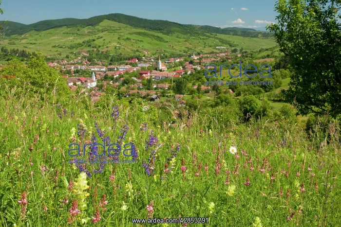 : Old Romanian village, Teaca / Teke, views from : Old Romanian village, Teaca / Teke, views from