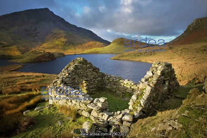 : Old ruin over looking Llyn Dwyarchen in beautiful : Old ruin over looking Llyn Dwyarchen in beautiful