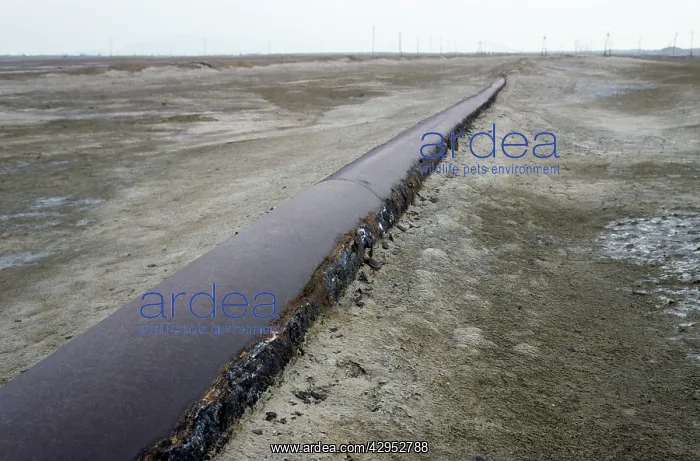 : An old rusty pipe-line - carrying extracted iodine : An old rusty pipe-line - carrying extracted iodine