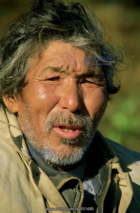 : Old Selkup fisherman's face (Northern minority) : Old Selkup fisherman's face (Northern minority)