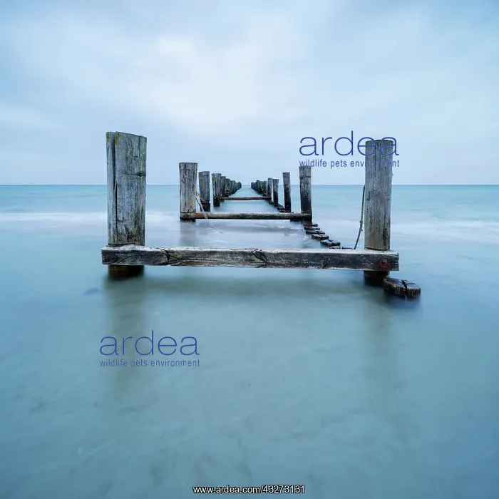 : Old stage at the beach of the Baltic Sea, seaside : Old stage at the beach of the Baltic Sea, seaside