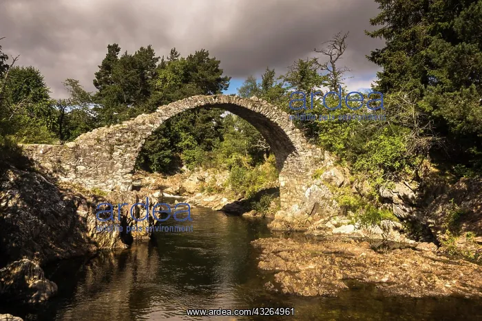 : Old Stone Bridge, Highlands, Carrbridge, Cairngorms : Old Stone Bridge, Highlands, Carrbridge, Cairngorms