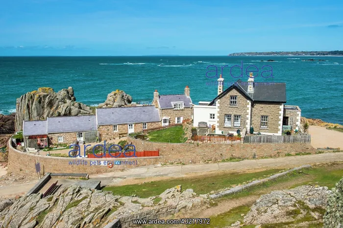: Old stone house at the La Corbiere lighthouse, Jersey : Old stone house at the La Corbiere lighthouse, Jersey