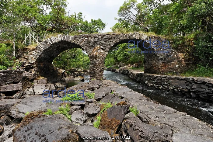: Old stonebridge at place called meeting of the waters : Old stonebridge at place called meeting of the waters