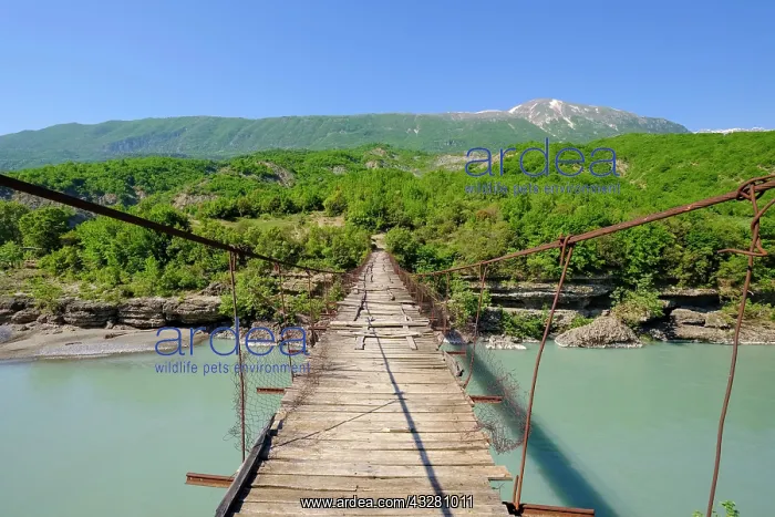 : Old suspension bridge over Vjosa river, upper Vjosa : Old suspension bridge over Vjosa river, upper Vjosa