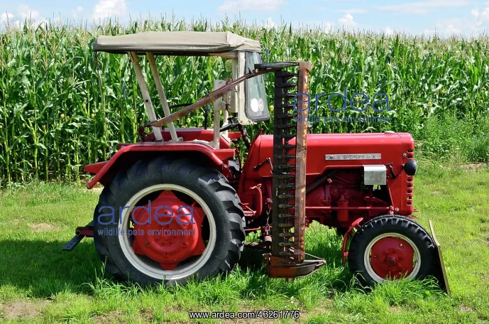 : Old tractor with mower in front of a maize field : Old tractor with mower in front of a maize field