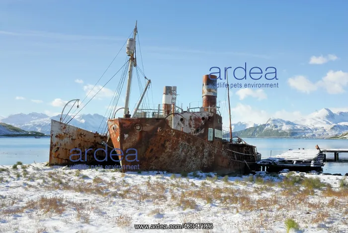 : Old Whaling boats at Grytviken : Old Whaling boats at Grytviken