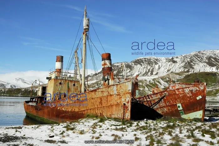  : Old Whaling boats at Grytviken