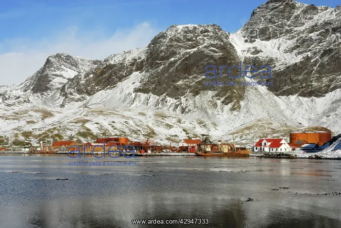 : Old Whaling station at Grytviken : Old Whaling station at Grytviken