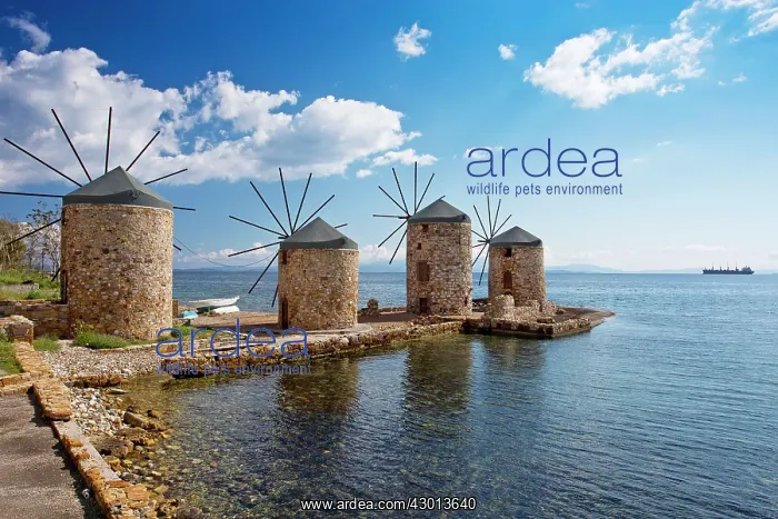  : Old Windmills at Vrondados Chios, Greece