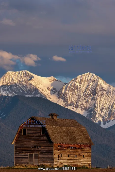 : Old wooden barn and Mission Mountains near Pablo, Montana : Old wooden barn and Mission Mountains near Pablo, Montana