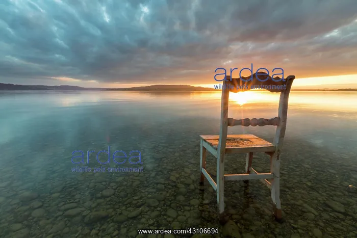 : Old wooden chair in the water at cloudy sky and : Old wooden chair in the water at cloudy sky and