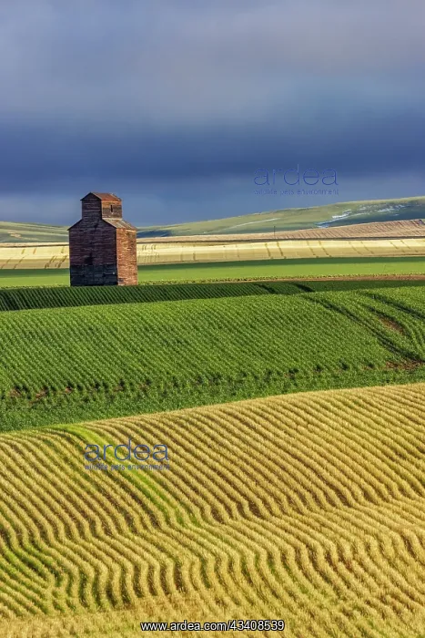 : Old wooden granary in Collins, Montana, USA : Old wooden granary in Collins, Montana, USA
