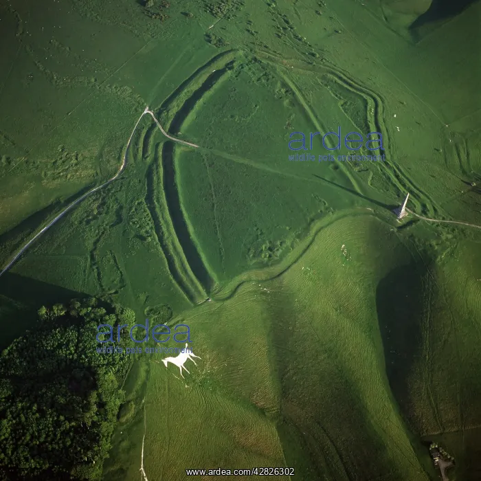  : Oldbury Camp Hill Fort with Cherhill White Horse
