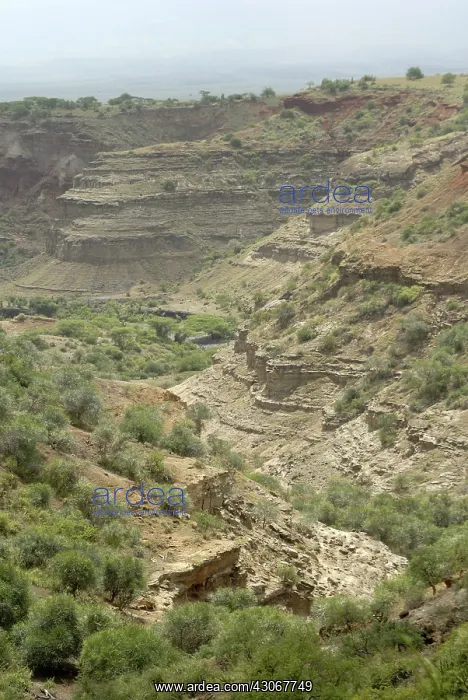 : Olduvai Gorge : Olduvai Gorge