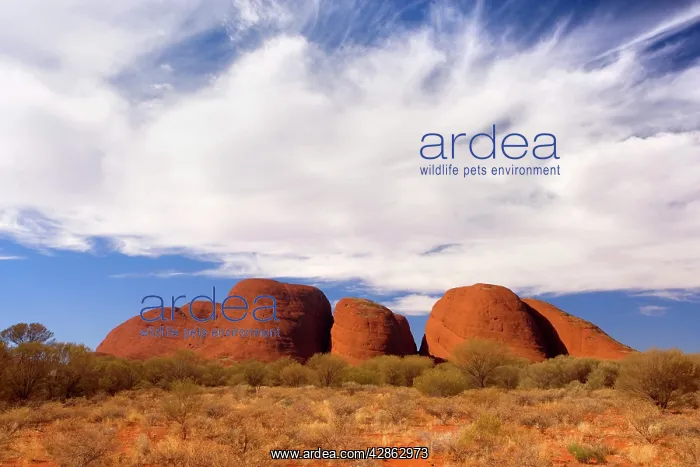 : Olgas - Kata Tjuta - famous sandstone rocks and clouds : Olgas - Kata Tjuta - famous sandstone rocks and clouds