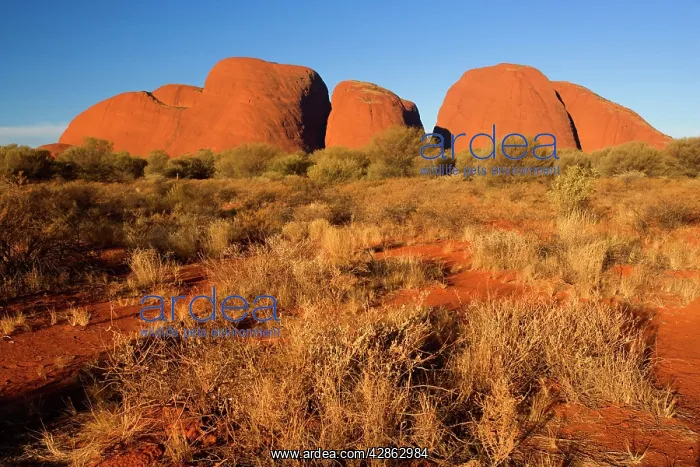 : Olgas - Kata Tjuta - famous sandstone rocks just : Olgas - Kata Tjuta - famous sandstone rocks just