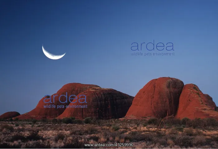 : The Olgas, Uluru N.P. a few minutes after sunset : The Olgas, Uluru N.P. a few minutes after sunset