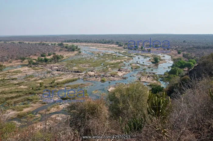: Olifants River - Olifants Camp : Olifants River - Olifants Camp